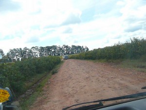 A dirt track in Kenya seen from inside a vehicle